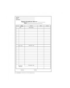 Raport de gestiune zilnic autocopiativ
