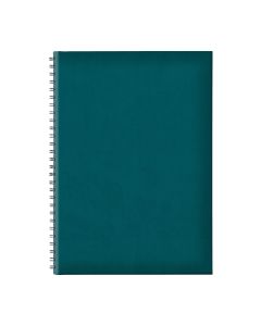 Agenda Nedatata B5 Tucson Spira Ascunsa