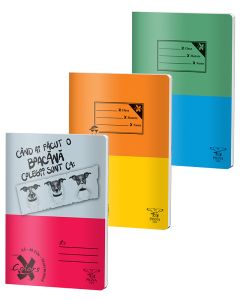 Caiet A5 48 file aritmetica Basic PIGNA