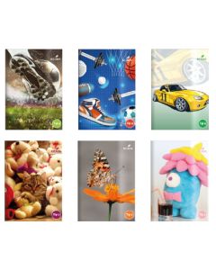 Caiet A5 tip 2 Ecada