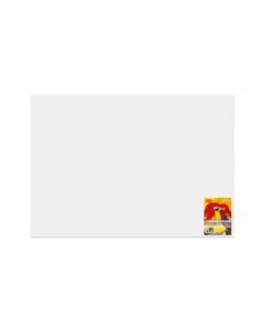 Carton color Alb 70 x 100 cm 10 coli DACO