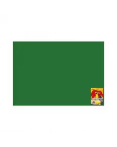 Carton color 70 x 100 cm 10 coli DACO