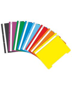 Dosar plastic cu sina si doua perforatii ECADA