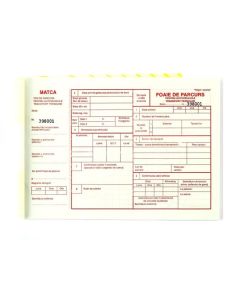 Foi parcurs A4 persoane inseriate