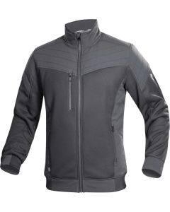 Jacheta Ardon Hybrid