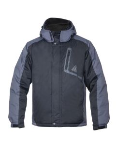 Jacheta Iarna Ardon York