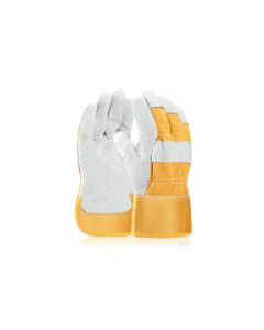 Manusi Ardon ELTON 10