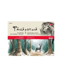 Panza pictura pe carton 30x40 cm DACO