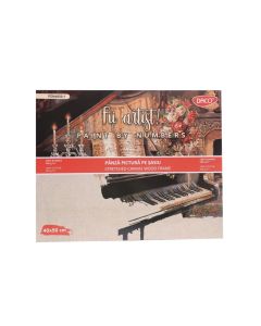 Panza pictura pe numere Pian 40x50 cm DACO