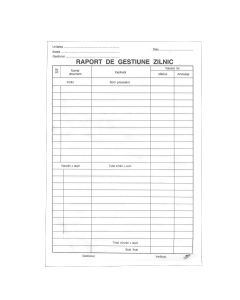 Raport de gestiune zilnic