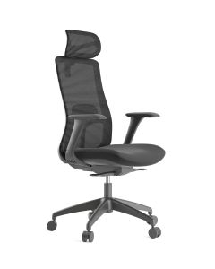 Scaun ergonomic Patrick-H