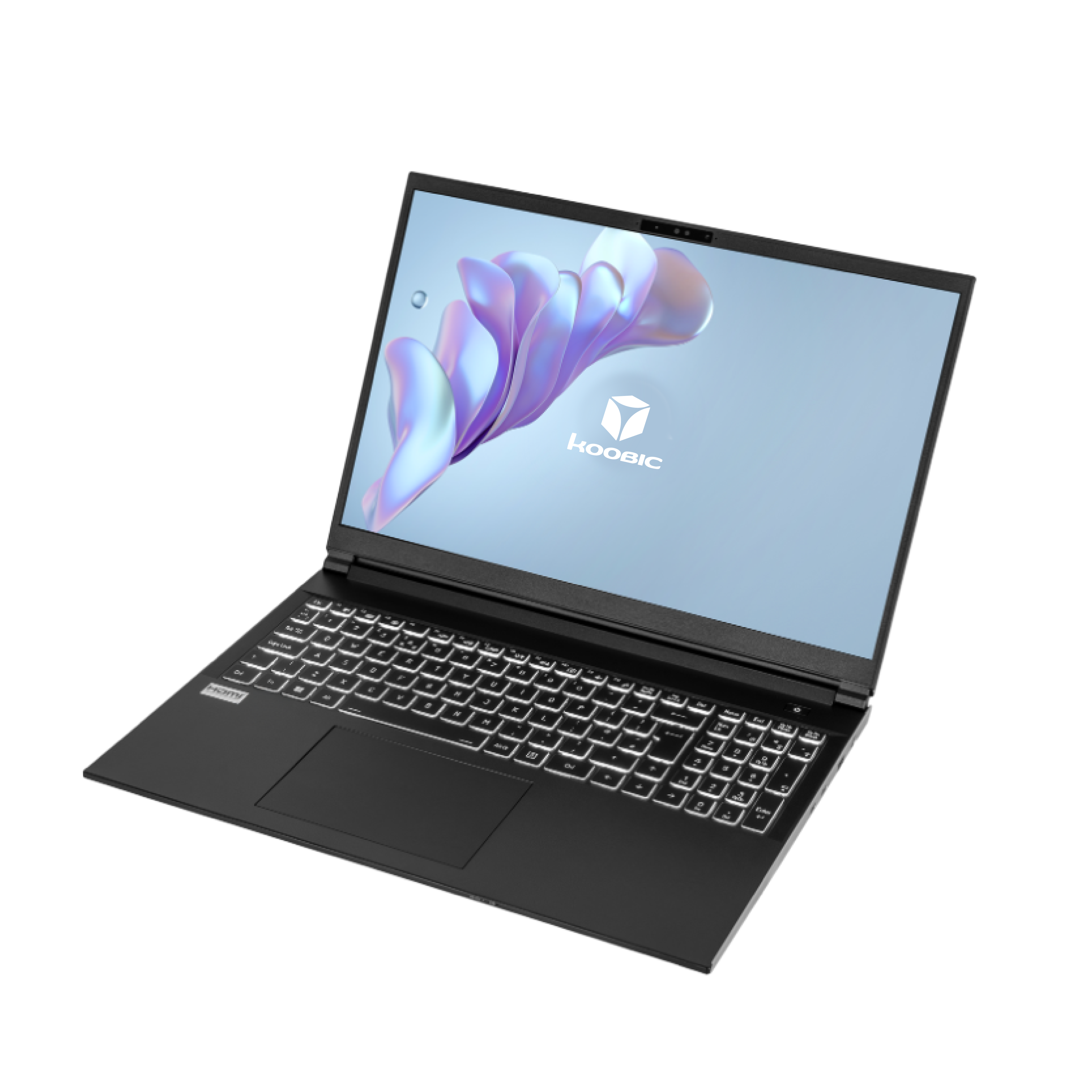 NEC PC-VJT16GZG5　UltraLite　VJT16G-5 Laptop KOOBIC KOOV560 - Ultra 5 - UP Ciptronic