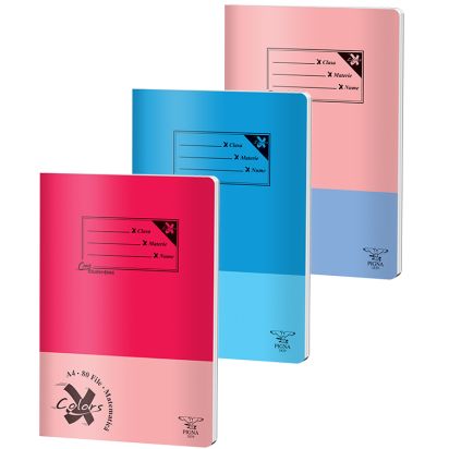 Caiet A4 80 file aritmetica Basic PIGNA - 1