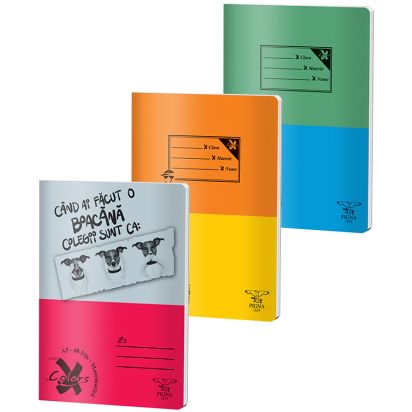 Caiet A5 48 file aritmetica Basic PIGNA - 1