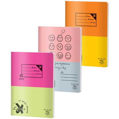 Caiet A5 48 file dictando Basic PIGNA - 1