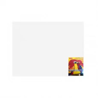 Carton color 46 x 64 cm 10 coli 240 g/mp DACO - 1