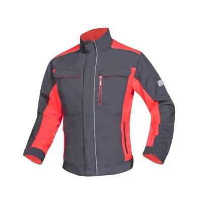 Jacheta Ardon Neon - 1