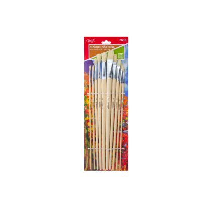 Pensule par porc set 10 DACO (maner LUNG) - 1