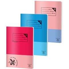Caiet A4 80 file aritmetica Basic PIGNA