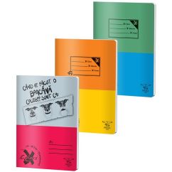 Caiet A5 48 file AR basic
