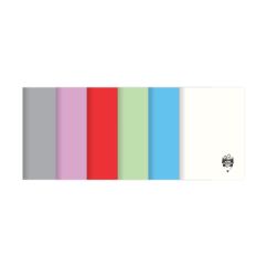 Caiet A5 Tip 1 DACO coperta plastic