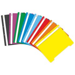 Dosar plastic cu sina si doua perforatii ECADA