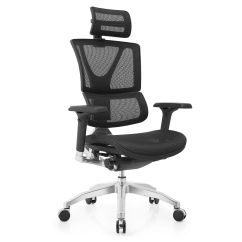 Scaun ergonomic Enyx-H aluminium frame