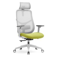 Scaun ergonomic Nissa-HG green