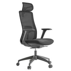 Scaun ergonomic Patrick-H