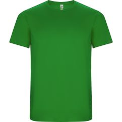 Tricou Roly Imola Barbat Verde