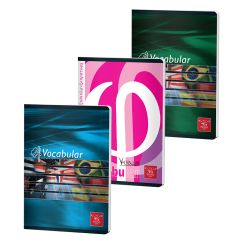 Vocabular 24 file Color PIGNA