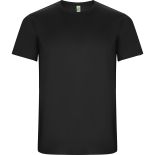 Tricou Roly Imola Barbat Gri
