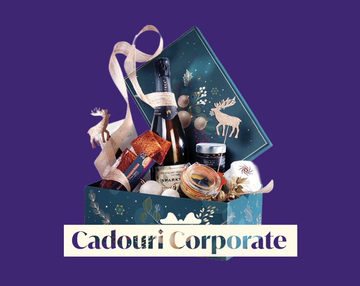 Cadouri corporate TheHug